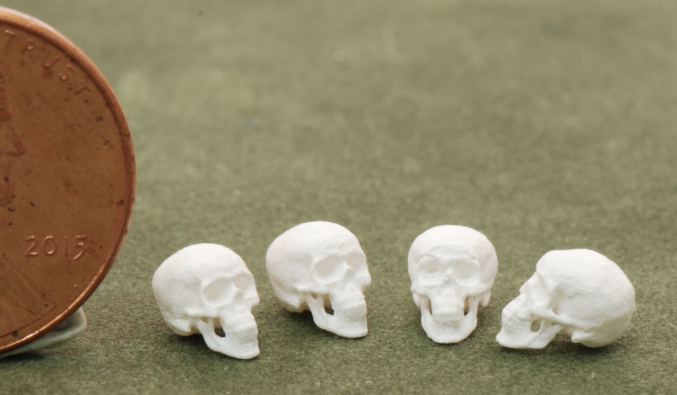 1:48 Skulls kit set of 4 NEW! | Stewart Dollhouse Creations